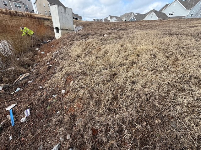 Sediment Removal